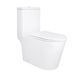 Унитаз-моноблок напольный Qtap Kolibri Ultra Quiet безободковый с сиденьем Soft-close WHITE QT10226380W