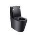 Унитаз-компакт Qtap Scorpio безободковый с сиденьем Soft-close QT14222125ARMB